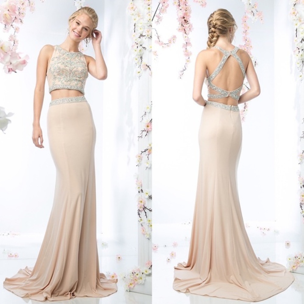 Cinderella CK11 champagne dress